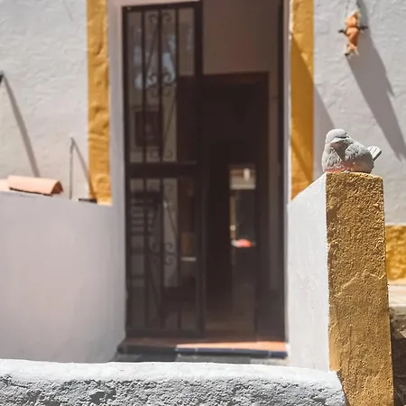 Arroyito, Tranquility In The Woods With Your Dog Ayamonte